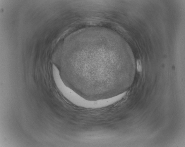 X0000075921155200610062200