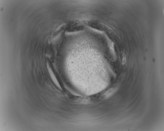 X0000075921156200610062200