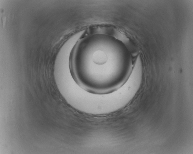 X0000075921157200610062200