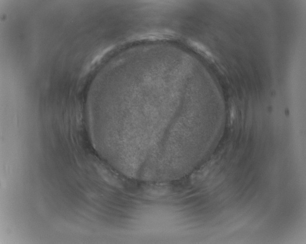 X0000075921158200610062200