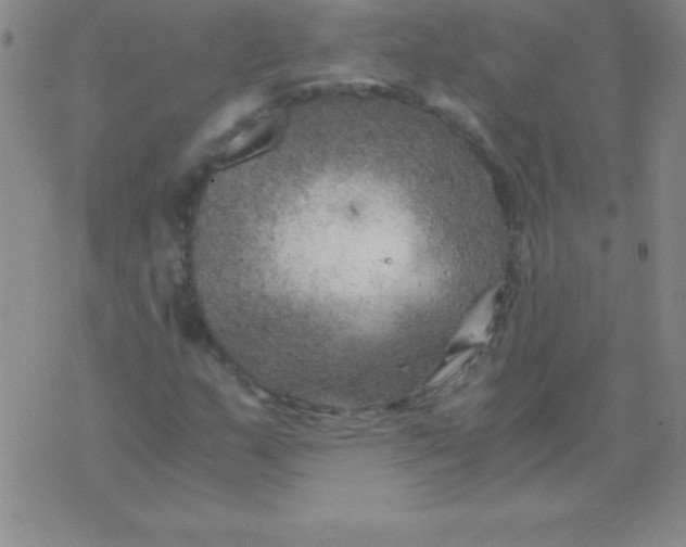 X0000075921159200610062200