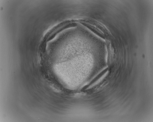 X0000075921160200610062200