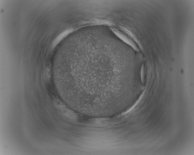 X0000075921163200610062200