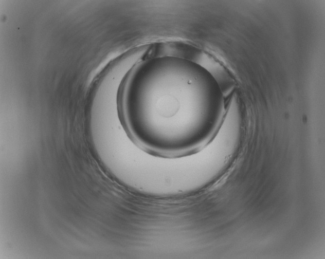 X0000075921165200610062200