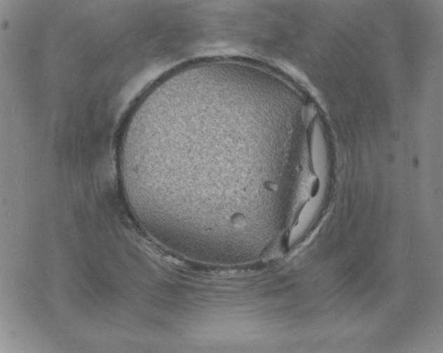 X0000075921167200610062200