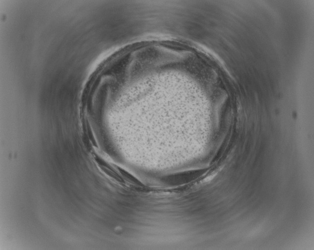 X0000075921168200610062200