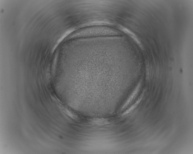 X0000075921170200610062200