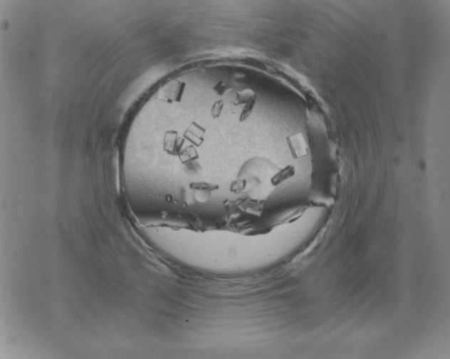 X0000075921171200610062200