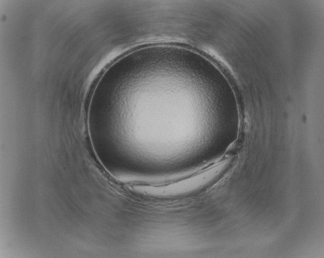 X0000075921173200610062200