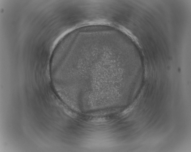 X0000075921174200610062200