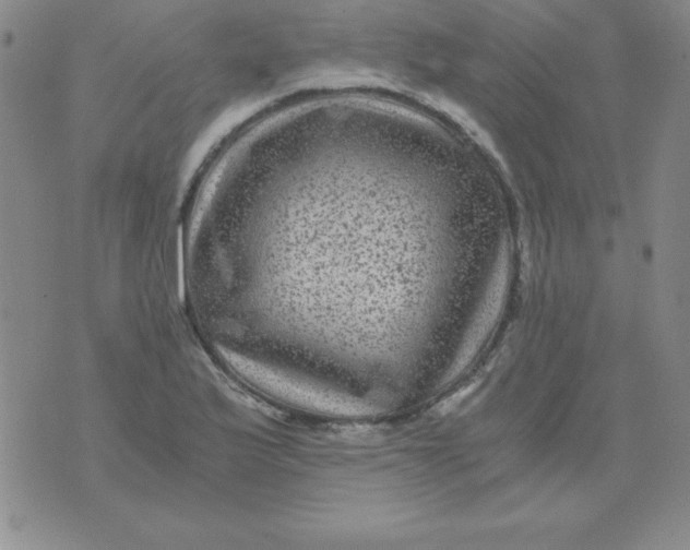 X0000075921175200610062200