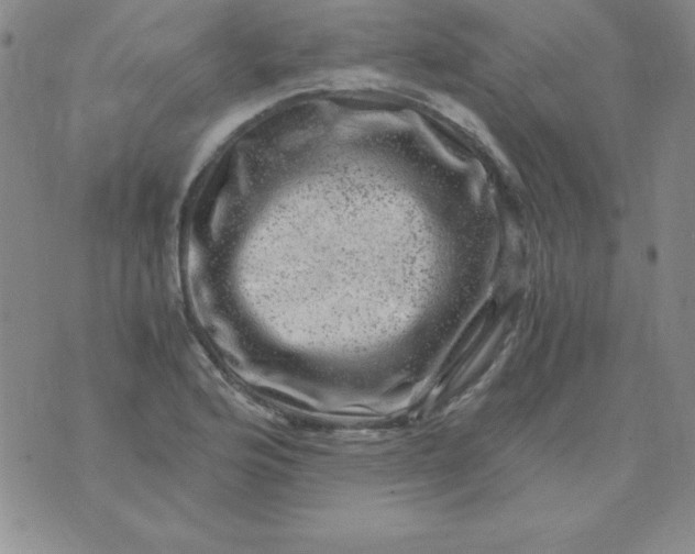 X0000075921176200610062200