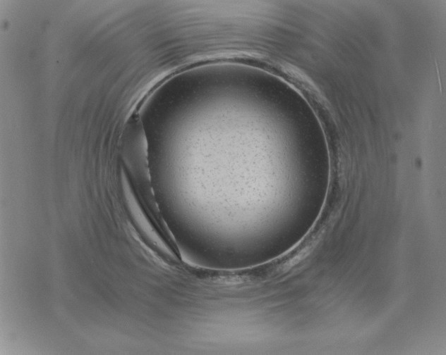 X0000075921177200610062200