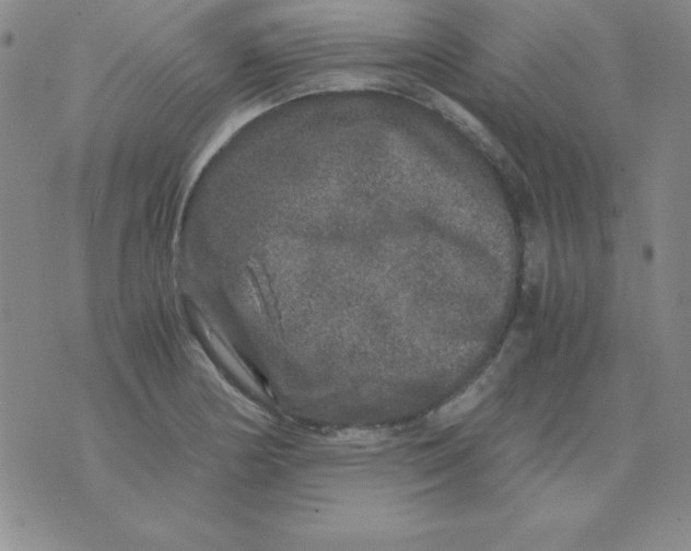 X0000075921178200610062200