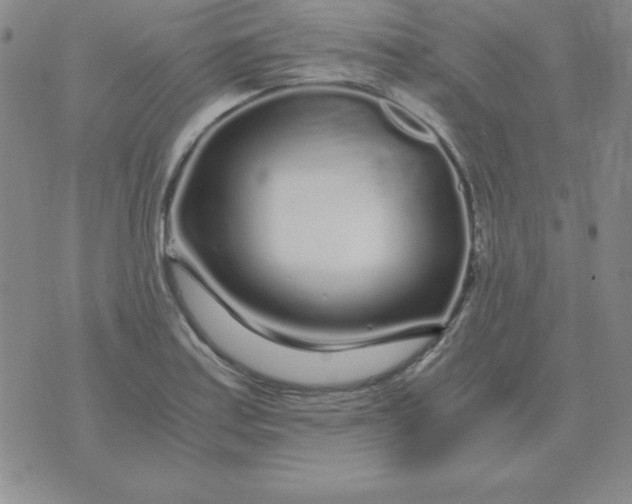 X0000075921179200610062200