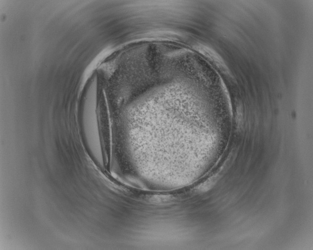 X0000075921180200610062200