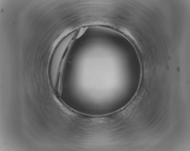 X0000075921181200610062200