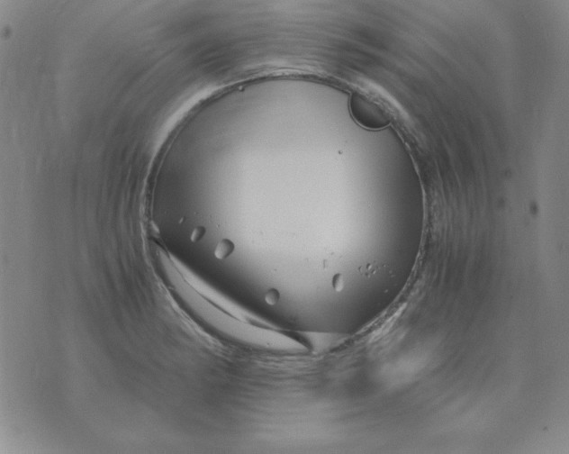 X0000075921182200610062200