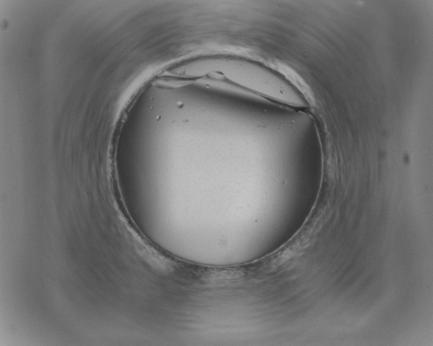 X0000075921183200610062200