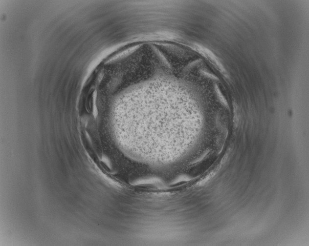 X0000075921184200610062200