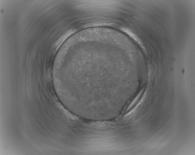 X0000075921185200610062200