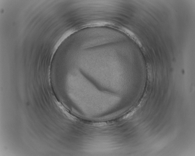 X0000075921186200610062200