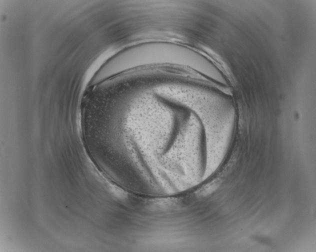 X0000075921188200610062200