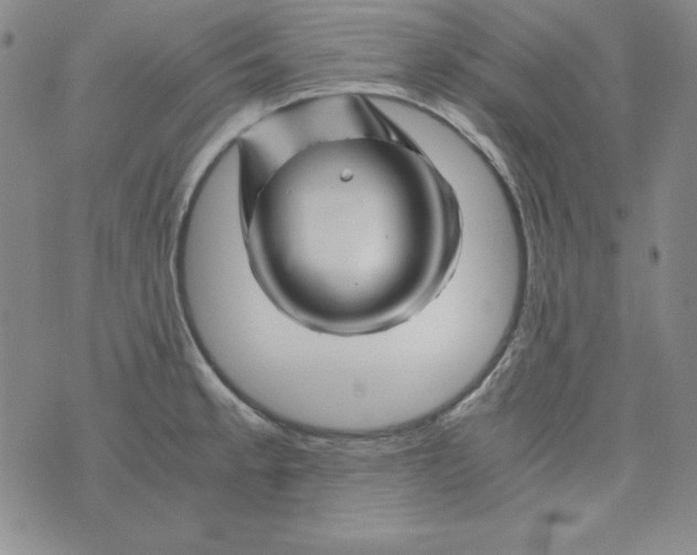 X0000075921189200610062200