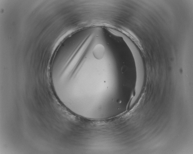 X0000075921190200610062200