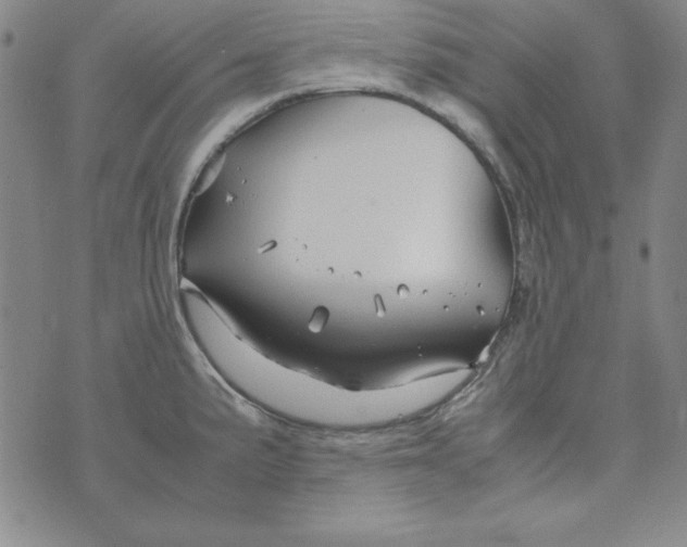 X0000075921191200610062200