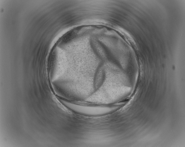 X0000075921192200610062200