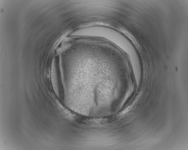 X0000075921193200610062200