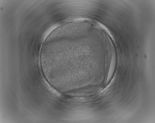 X0000075921194200610062200