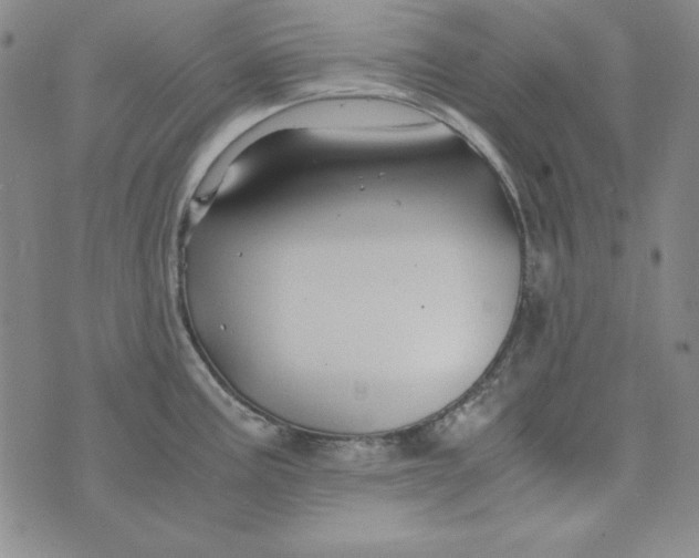 X0000075921195200610062200