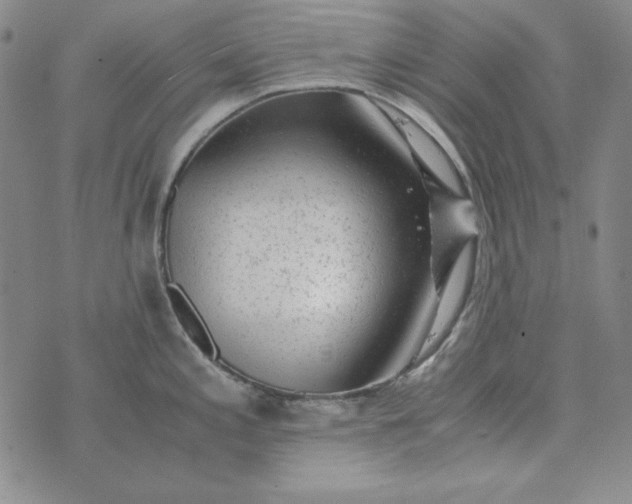 X0000075921197200610062200