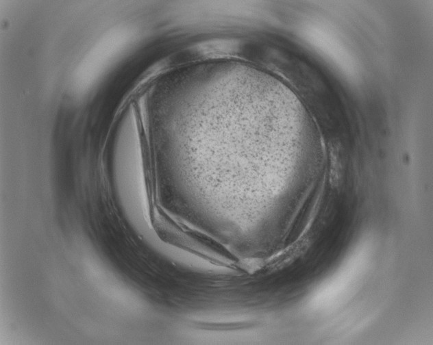 X0000075921198200610062200