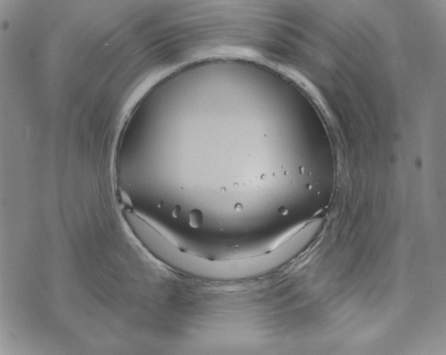 X0000075921199200610062200