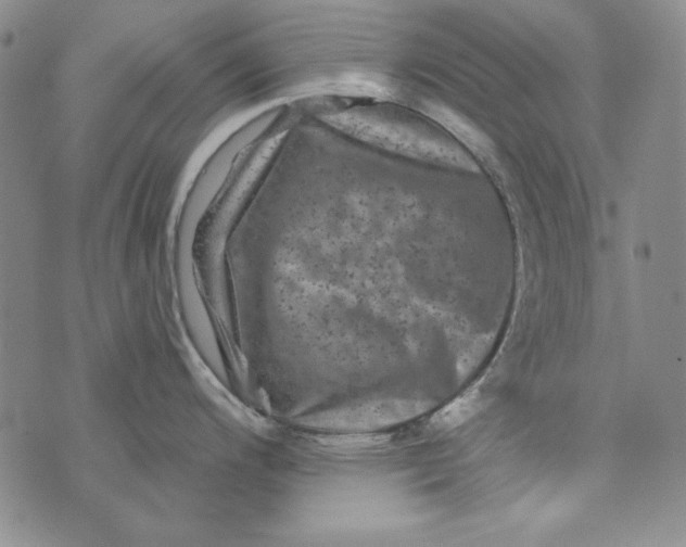 X0000075921200200610062200