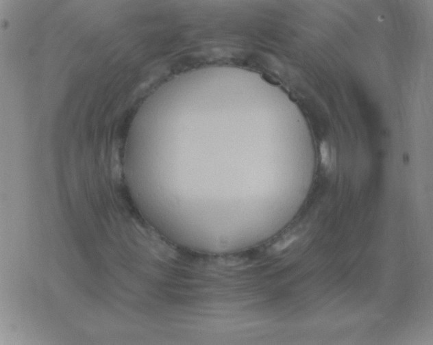 X0000075921203200610062159