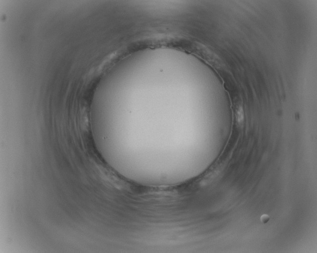 X0000075921204200610062159