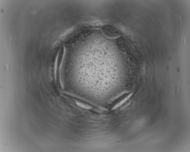 X0000075921205200610062159