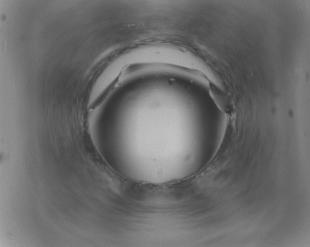 X0000075921206200610062159