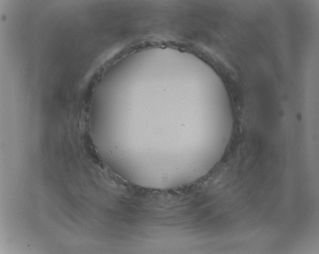 X0000075921207200610062159