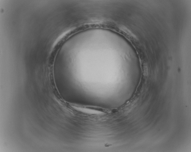 X0000075921208200610062159