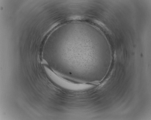 X0000075921209200610062159