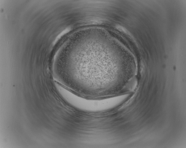 X0000075921210200610062159