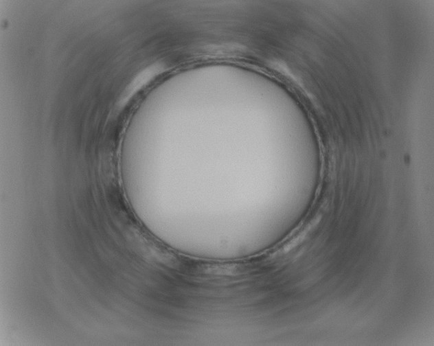 X0000075921211200610062159