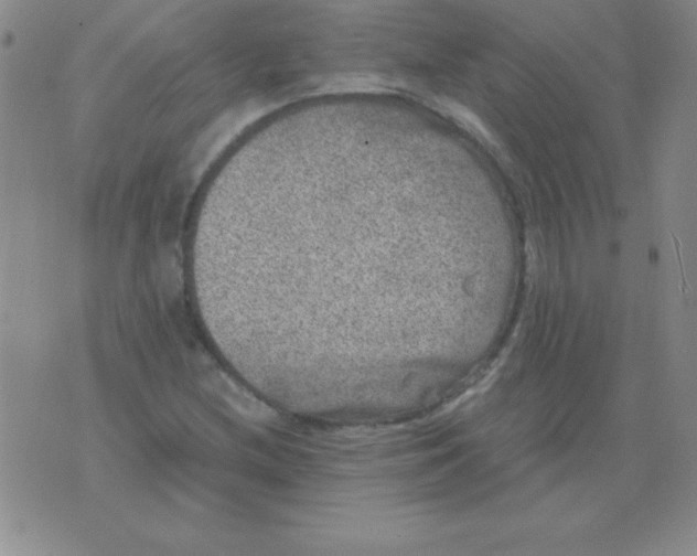 X0000075921212200610062159