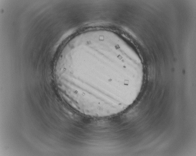 X0000075921213200610062159