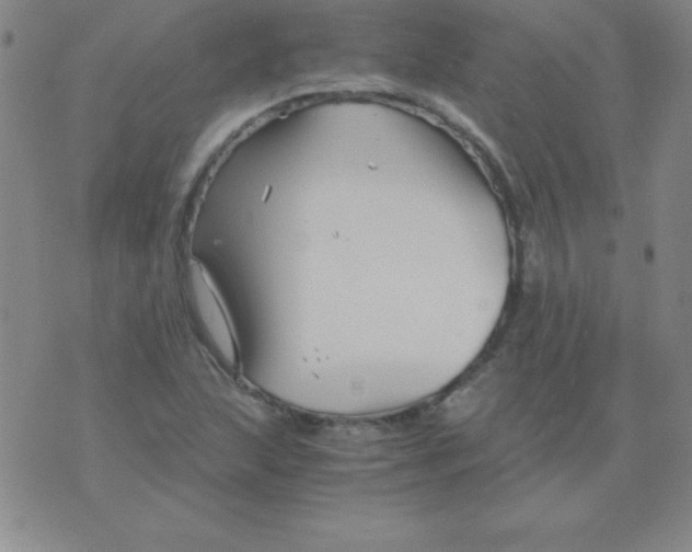 X0000075921215200610062159